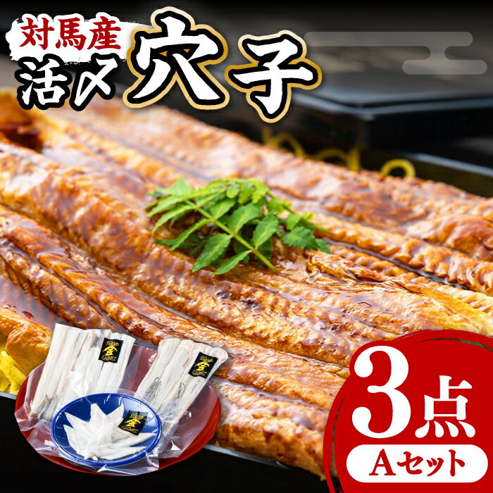 【ふるさと納税】対馬産 活〆 穴子 3点 セット 1人前【THE・対馬株式会社】《対馬市》新鮮 あなご 刺身 天ぷら 海鮮 肉厚 簡単調理 一人前[WAS001]