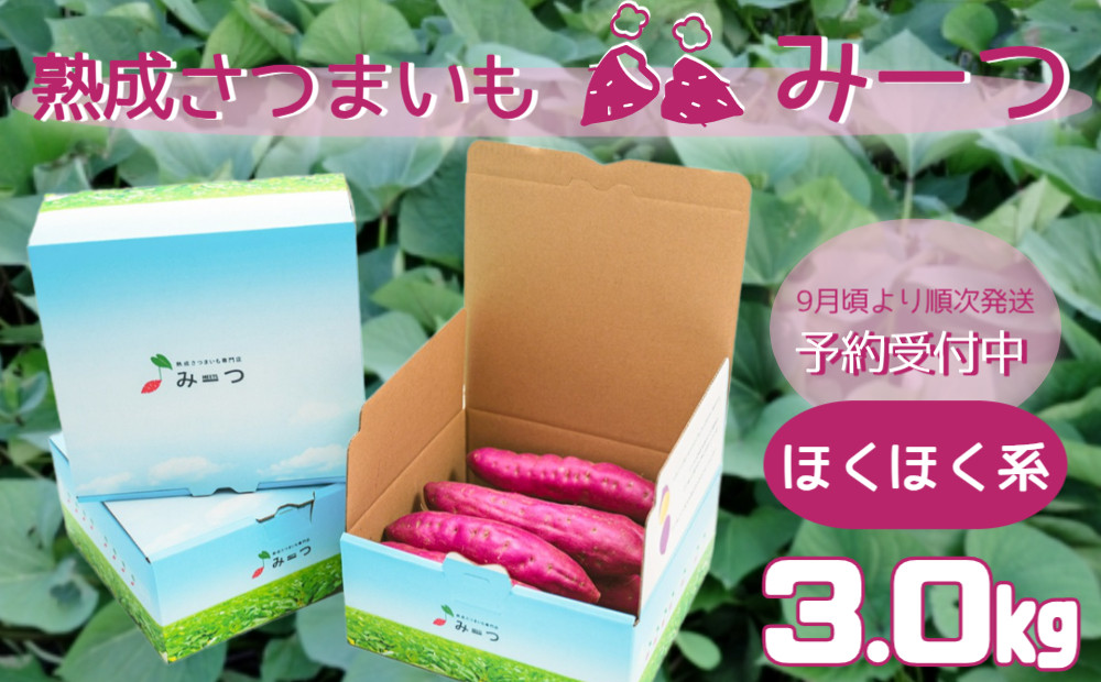 
            【予約受付中・2025年9月頃より順次発送】熟成さつまいも みーつ (ほくほく系) 3.0kg【数量限定】｜ なると金時 鳴門金時 甘い ホクホク スイーツ 焼きいも スイートポテト おやつ 天ぷら 干し芋 ギフト
          