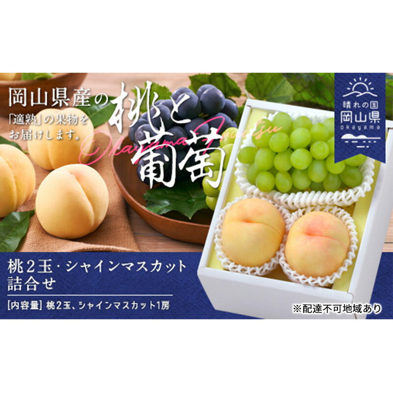 【ふるさと納税】桃 ぶどう 2026年 白桃 晩生種 2玉 シャイン マスカット 1房 合計約1.0kg もも 葡萄 岡山県産 国産 フルーツ 果物 ギフト　お届け：2026年8月下旬～2026年9月中旬