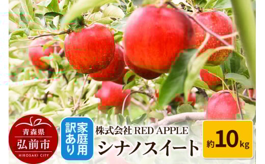 りんご【訳あり】家庭用 シナノスイート 約10kg