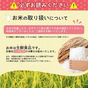 ＜ 2026年1月より隔月3回 ＞【令和7年産 定期便】はえぬき計30kg！お米 定期便（10kg×3回）！清流寒河江川育ち 山形産はえぬき 2025年産　058-C-JA012-2026-1隔