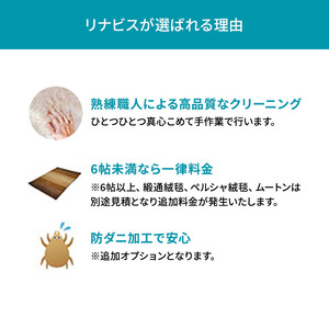 クリーニング 絨毯 ラグ カーペット 宅配 防ダニ クリーニング
