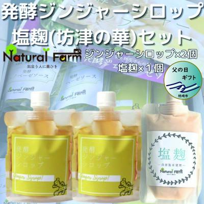 ふるさと納税 枕崎市 【父の日】発酵ジンジャーシロップ&塩麹　A3-12F | 