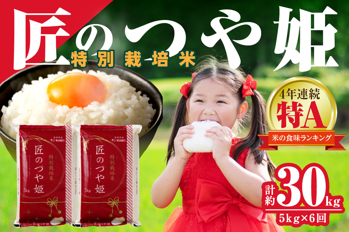 
                  【令和7年産】【定期便】特別栽培米「匠のつや姫」 5kg×6回コース＜7月上旬より配送＞ 定期便 米 コメ 5キロ 島根 県産 つや姫 精米 お米 精米 白米 ごはん ご飯 特Ａ 【058_1860】
                