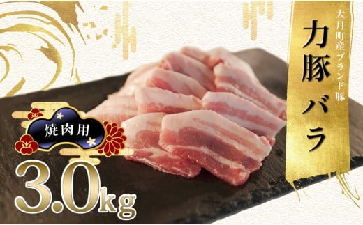 国産 豚肉 バラ 焼肉用3kg (300g×10P)|力豚 豚バラ 小分け 使いやすい ブランド豚 脂 真空パック 大容量 冷凍 家族焼肉 BBQ ポーク お取り寄せ 簡単調理 ご当地 配達日指定可 おすすめ 人気 土佐 高知県 大月町