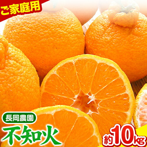【ふるさと納税】【家庭用】不知火 ( デコポン )と同品種 約 10kg 長岡農園 《2026年2月中旬-4月上旬頃出荷》 和歌山県 日高川町 柑橘 不知火 でこ でこポン デコみかん デコポン と同品種 直送 大玉 10kg ご家庭用 送料無料 不揃い 規格外 旬 フルーツ 果物