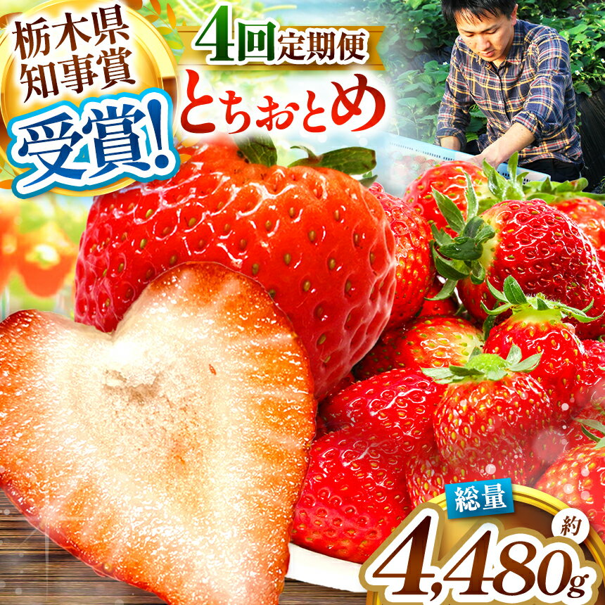 【ふるさと納税】[先行予約] [4ヶ月連続定期便]澳原いちご農園のとちおとめ定期便 1120g (毎月お届け 計4回)｜いちご イチゴ 苺 フルーツ 果物 産地直送 栃木県産 先行予約