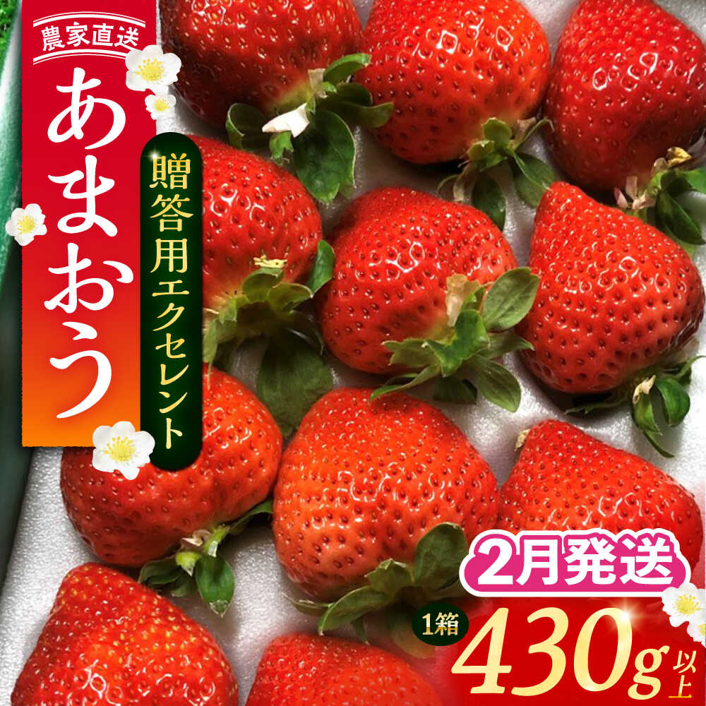 【ふるさと納税】【2月-4月発送】 あまおう 贈答用 エクセレント 430g以上×1箱 《豊前市》【内藤農園】果物 いちご[VAB010] 11000円 11000円