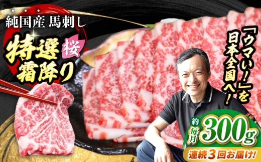 【全3回定期便】『純国産』熊本の味「桜」霜降り馬刺し「特選」 計約900g（約300g×3回）/ 熊本 馬刺し バサシ ばさし 馬肉 タレ付き ヘルシー 冷凍 国産 霜降り【有限会社 九州食肉産業】 [AYCN012]