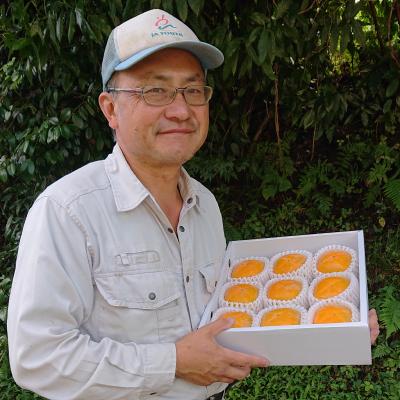 ふるさと納税 橋本市 国城観光農園のたねなし柿9個入り(2Lサイズ) |  | 02