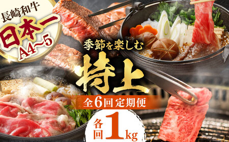 【全6回】【内閣総理大臣賞受賞！】長崎和牛 毎月お届けセット ( 希少部位アリ ) 1kg×6回 [YA20]  肉 牛肉 ロース サーロイン ステーキ サーロインステーキ レモンステーキ すき焼き しゃぶしゃぶ 焼肉 定期便