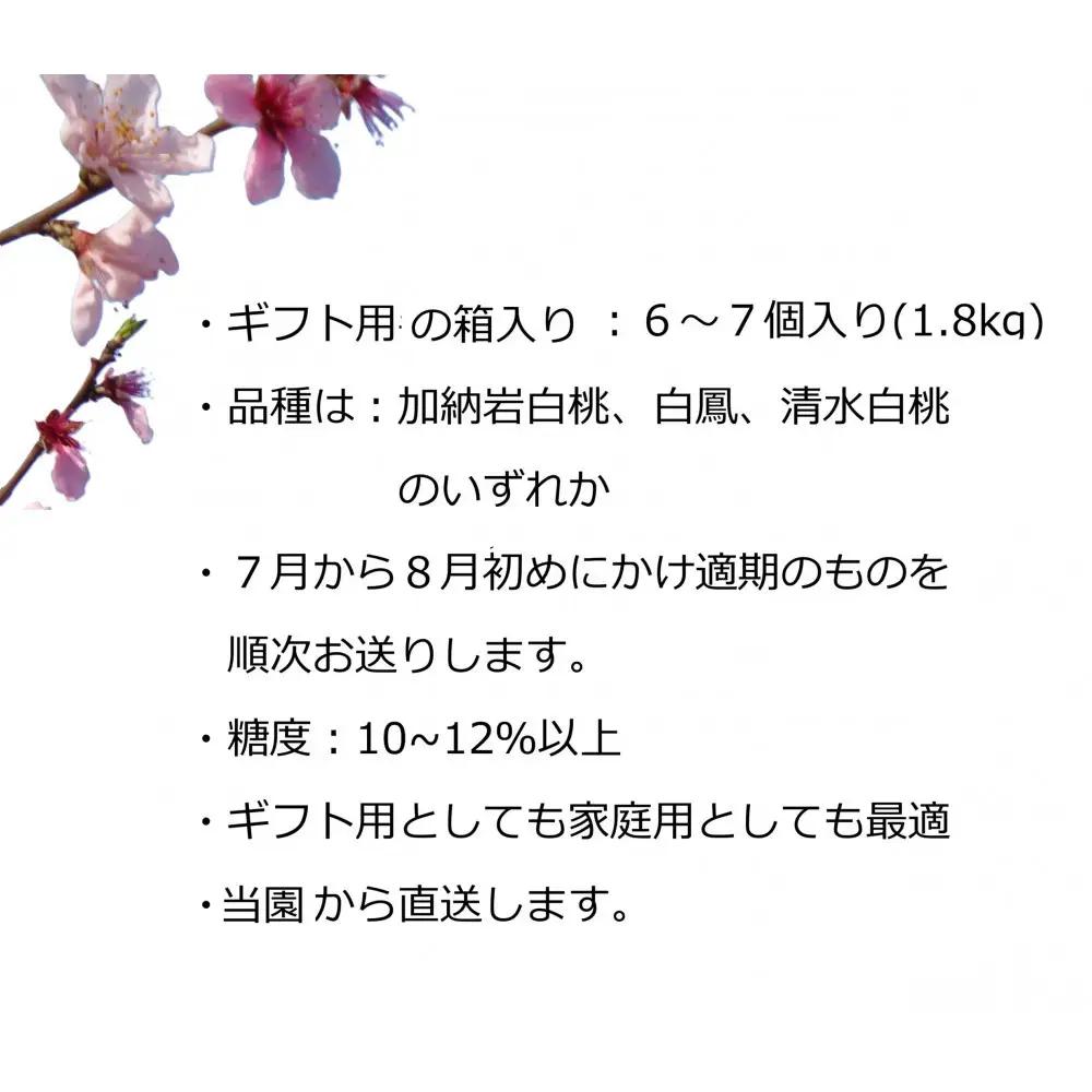 【先行予約】ふるさと納税 岡山市 桃 6-7個（約1.8kg）万と美桃園
