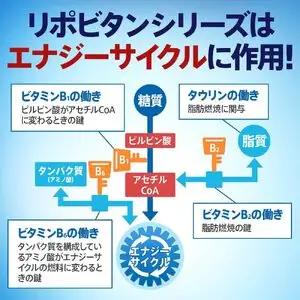 【リポビタンD】 100ml 20本 栄養ドリンク リポビタンD