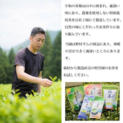 ふるさと納税 西予市 お茶の詰合せセット |  | 01