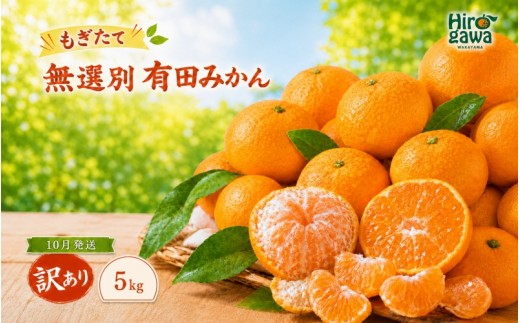 
                  もぎたて 無選別 有田 みかん 5kg 訳あり 10月 配送 / ミカン 蜜柑 柑橘 温州みかん 和歌山 有田 ※2026年10月上旬～10月下旬に順次発送 【oda004-c-5-10】
                