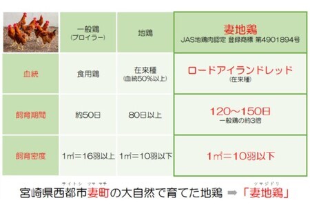 妻地鶏万能鶏そぼろセット30　80g×10パック＜1-28＞