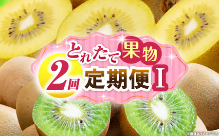 とれたて果物 2回定期便I |果物 フルーツ 果物定期便 フルーツ定期便 定期便キウイ濃厚 旬の果物 定期 人気 おすすめ 贈答 贈り物 青果物 糖度 香川県 |_mk165-t059