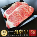 【ふるさと納税】飛騨牛 A5 サーロイン ステーキ用 600g（300g×2枚）｜国産 肉 牛肉 焼肉 ステーキ 和牛 黒毛和牛 A5等 級 グルメ おすすめ AD108【飛騨牛 和牛ブランド 飛騨牛 黒毛和牛 飛騨牛 岐阜 大野町 飛騨牛】