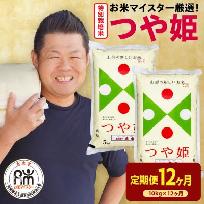 ふるさと納税 米沢市 12ヶ月定期便 令和7年産 特別栽培米 つや姫 10kg(5kg×2袋)×12回 計120kg