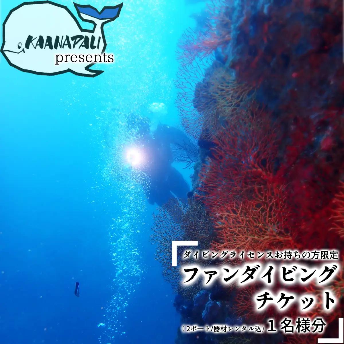水着1つでお越しください！徳島最南端の海でファンダイビング！