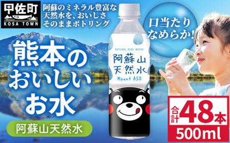 熊本のおいしいお水 阿蘇山天然水 500ml×48本（2ケース）（共通返礼品・御船町） - 飲料水 ミネラルウォーター 軟水 防災 備蓄 ローリングストック