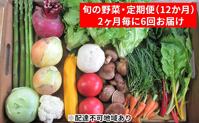 【2ヶ月毎に6回お届け】 旬の野菜・定期便（12か月）