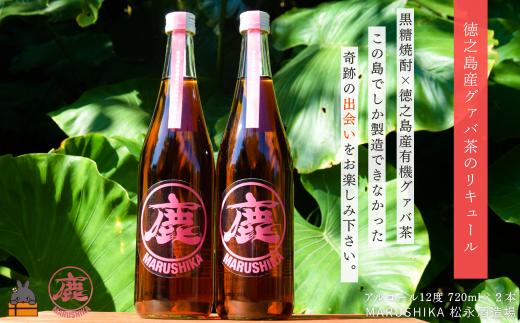 2552 グァバの豊かな風味♪  徳之島産有機グァバ茶リキュール 720ml×２本 (アルコール12度) ( 黒糖焼酎 酒 グァバ グァバ茶 水割り 炭酸割り 松永酒造場 マルシカ 徳之島 奄美 鹿児島 福留農園  )