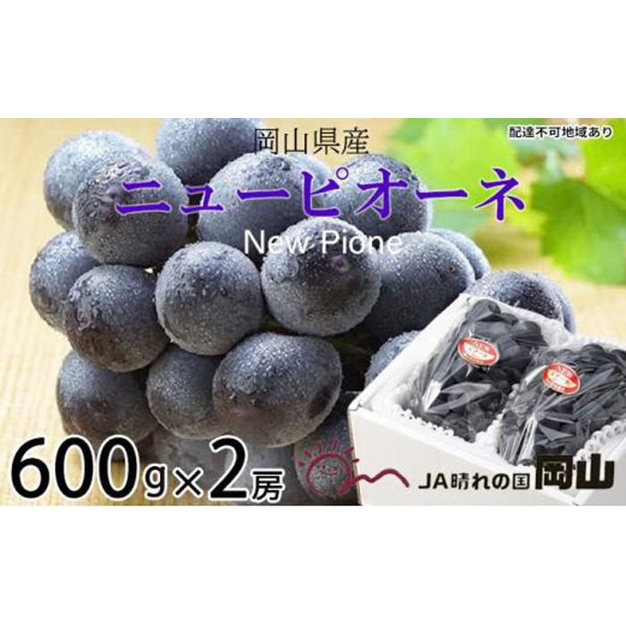 【ふるさと納税】ぶどう 2026年 ニュー ピオーネ 約600g×2房 ブドウ 葡萄 岡山県産 国産 フルーツ 果物 ギフト | フルーツ 果物 くだもの 食品 人気 おすすめ 送料無料