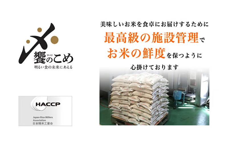 【3回 無洗米 定期便 】〈2026年3月より初回出荷〉石川県産 こしひかり 5kg×3回 総計15kg [中橋商事 石川県 宝達志水町 38601336] 米 お米 白米 精米 ご飯 ごはん_イメー