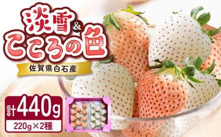 【2026年発送分 先行予約】淡雪・こころの色 白いちごプレミアム 計440g（220g×2パック）/ 岸川農園[41ASAG007]