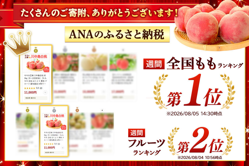 モモの王様 川中島白桃 約3kg（9～13玉前後） [もも モモ 白桃 はくとう 果物 フルーツ 産地直送 お取り寄せ]