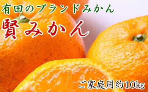 
            有田のブランド「賢みかん」約10kg サイズ混合 ご家庭用【2025年11月中旬頃より順次発送】
          
