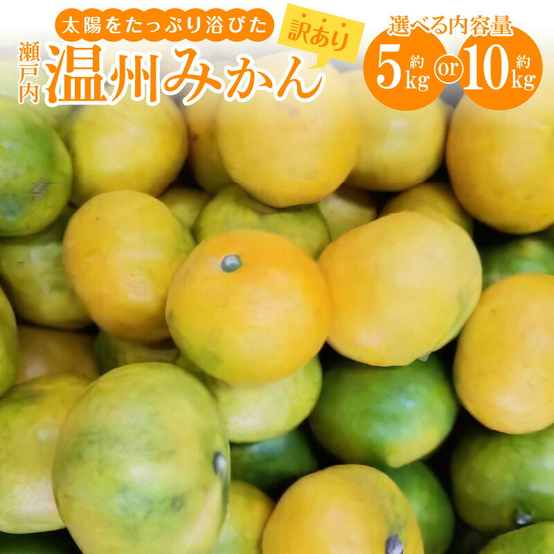 【ふるさと納税】＼寄附額改定／内容量が選べる【訳あり】太陽たっぷり浴びた　瀬戸内温州みかん　【2024-10月上旬～2025-1月中旬配送】 | 果物 フルーツ みかん オレンジ 蜜柑 ミカン 果汁 果肉 サイズ混合 香川県 高松市