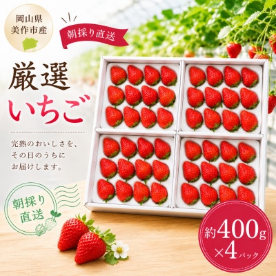 【2027年1月より順次発送】岡山県美作市産　厳選いちご(約400g×4パック)【配送不可地域：離島・北海道・沖縄】【1788437】