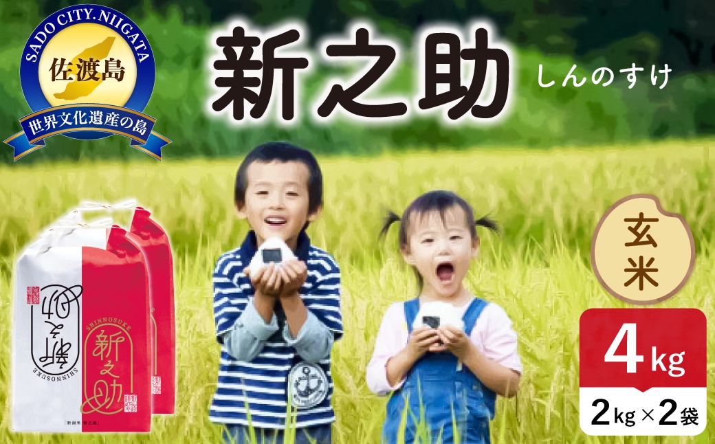 
                  令和8年産 佐渡島産 新之助 玄米4kg | 新潟県産新之助 新潟産新之助 佐渡産新之助 新之助 お米 米 玄米 おこめ コメ 4キロ にいがた さど 新潟県 佐渡市 195962-104202
                