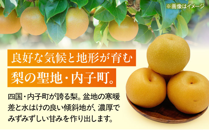 【先行予約】豊水梨【5～6玉】＜2026年8月下旬から発送＞【北海道・沖縄配送不可】 ／ 梨 なし ナシ 和梨 果物 フルーツ 国産 産地直送【株式会社フジ・アグリフーズ】 [BKAY022]
