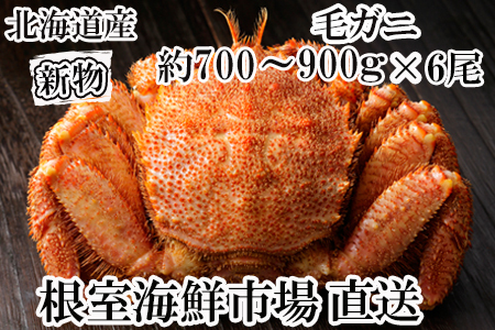 根室海鮮市場[直送]ボイル毛がに約700～900g×6尾 E-28010
