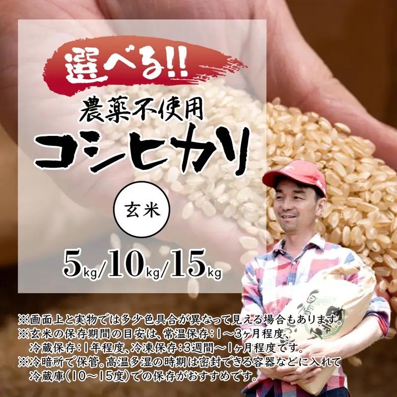 令和7年度産 棚田米 玄米 15kg コシヒカリ 栽培期間中 農薬不使用