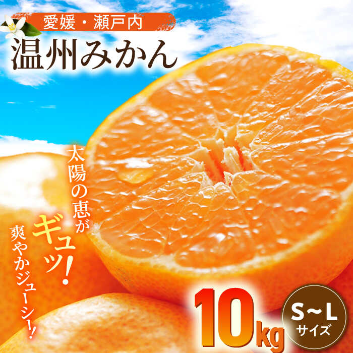 【ふるさと納税】【先行予約】【11月中旬より順次発送】温州 みかん 10kg （ S から L サイズ ） 大洲市/沢井青果[AGBN016] みかん ミカン 蜜柑 温州ミカン 温州みかん 果物 くだもの フルーツ 愛媛県産 大洲市産 産地直送 おすすめ 人気 お取り寄せ 送料無料 贈答 ギフト