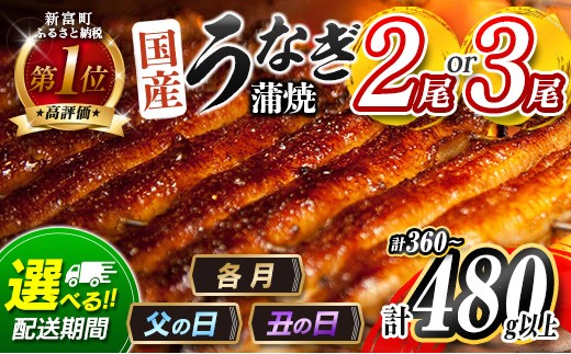 
                  ＜選べる!!数量＆配送期間＞うなぎ 鰻楽 国産 蒲焼 2尾 3尾 父の日 土用 丑の日 無頭 高評価 おすすめ 冷凍 簡単調理 個包装 鰻 魚介 贈答品 ギフト 贈り物【B555-C444-mult】
                