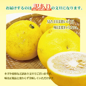 【先行予約】土佐文旦 訳あり 10kg (M～5L) 文旦[BQAE032]