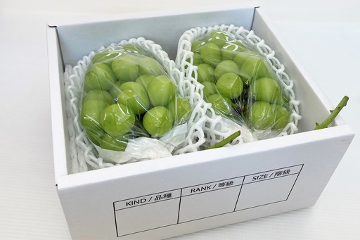 ぶどう（シャインマスカット）１.４ｋｇ　0009-2607