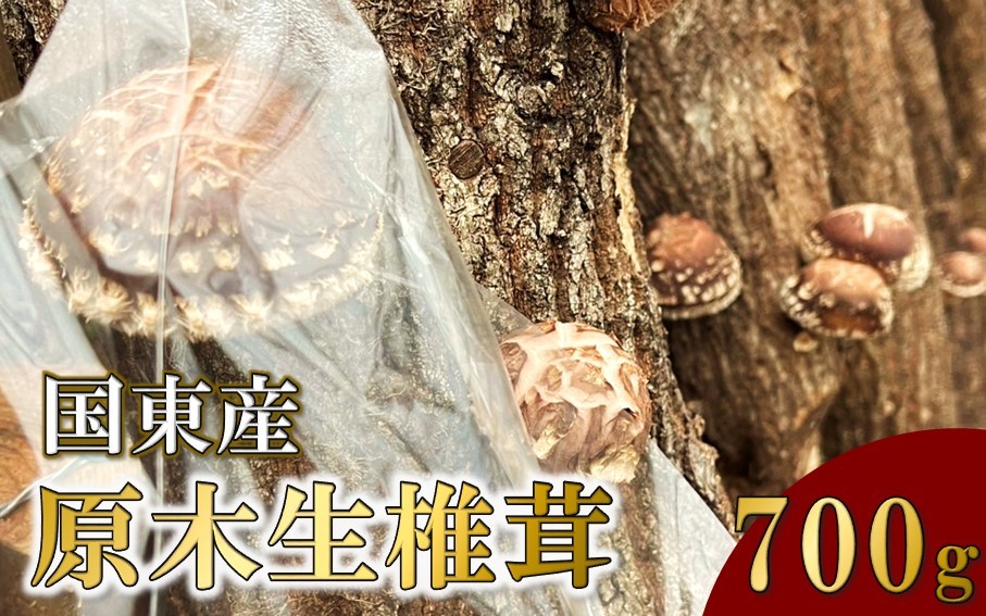 
                  【先行予約】国東産 原木生しいたけ 700g 椎茸 シイタケ 国産 大分県_2767R
                