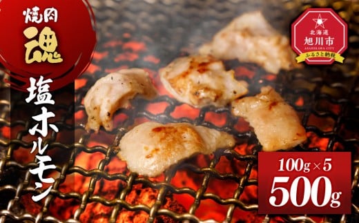 
            焼肉　魂　塩ホルモン100g×5 【 お肉 焼肉 焼き肉 やきにく タレ 漬け 付き 味付き にく 小分け 個包装 冷凍 BBQ アウトドア キャンプ 人気 北海道 簡単調理 焼くだけ お取り寄せ 旭川市 北海道 】_04954
          