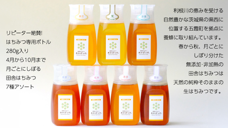 季節で移ろう 田舎 はちみつ ボトル 7種 セット [ピタッとボトルB7] 【茨城県共通返礼品／五霞町】 280g×7 ボトル 生ハチミツ 非加熱 国産 国産はちみつ ハチミツ 茨城県産 [BS009