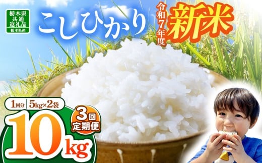 【栃木県共通返礼品】【令和7年度新米】栃木県産コシヒカリ 30kg |定期便 選べる 10月発送 11月発送 12月発送 ふるさと 納税 コシヒカリ お米 精米 白米 玄米 大粒 共通返礼品 送料無料 那珂川町 栃木県
