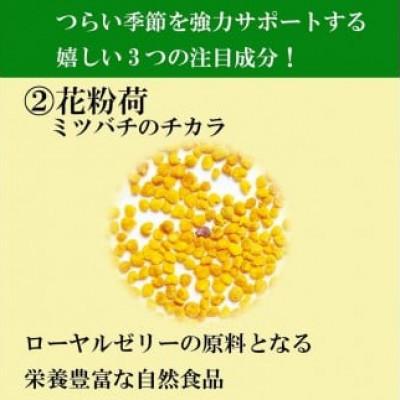 ふるさと納税 鏡野町 【毎月定期便】花粉ケアEX(11177)全6回 |  | 02