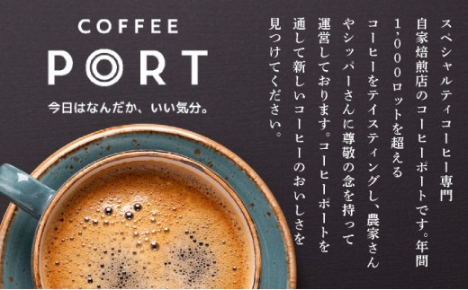 スペシャルティコーヒー100％　特別なアイスコーヒー8本セット | 飲料 ソフトドリンク コーヒー スペシャルティコーヒー アイス 自家焙煎 無糖 深煎り ブレンド 贅沢 ギフト お中元 父の日 プレ