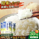 【ふるさと納税】【新米：令和6年産】穀物検定協会 食味ランキング 最高『特A』受賞米 環境こだわり米 みずかがみ 10kg ×3（30kg） 滋賀県長浜市/株式会社TPF [AQCQ005] 米 お米 白米 新米 30kg ※着日指定不可