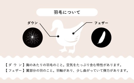 羽毛布団【ダブル】肌掛　イングランド産ホワイトダウン90％600gDP360【H-6】